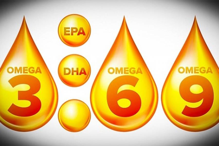 Tìm Hiểu Về Dầu Cá, Omega-3, DHA Và EPA – Các Dưỡng Chất Cần Thiết Cho Cơ Thể
