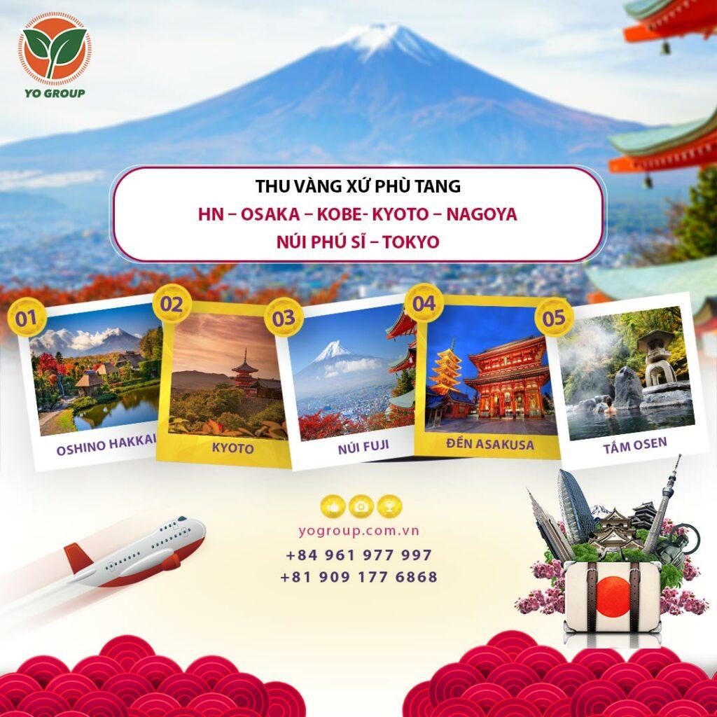 THU VÀNG XỨ PHÙ TANG HN – OSAKA – KOBE- KYOTO – NAGOYA – NÚI PHÚ SĨ – TOKYO