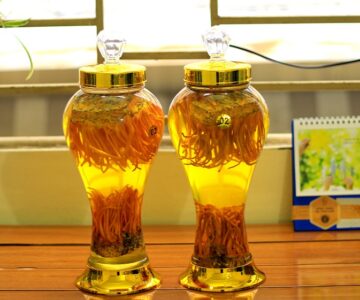 rượu đông trùng hạ thảo