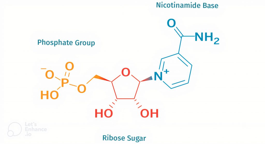 Cau truc hoa hoc cua Nicotinamide mononucleotide 1024x555 1